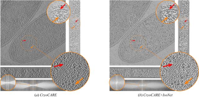 [Figure 11]