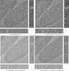 [Figure 13]