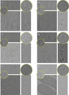 [Figure 1]