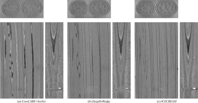 [Figure 5]