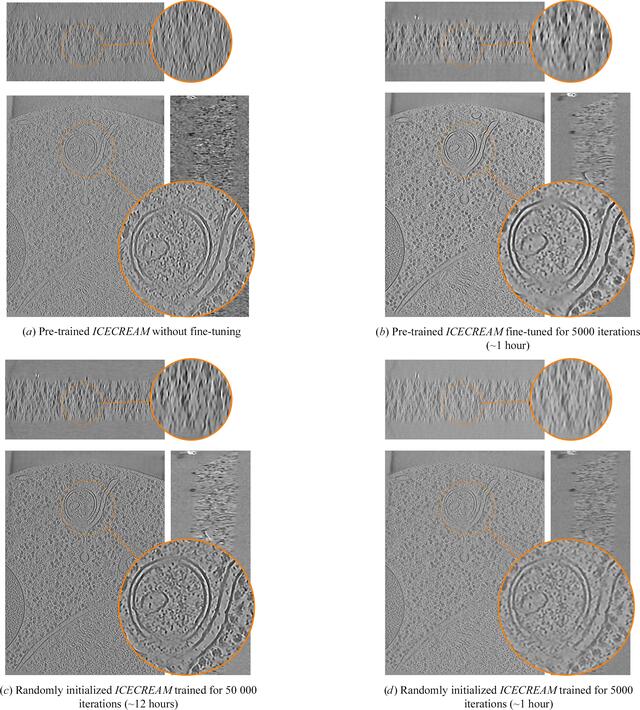 [Figure 7]