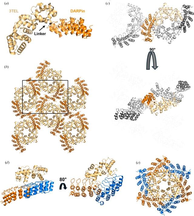 [Figure 1]