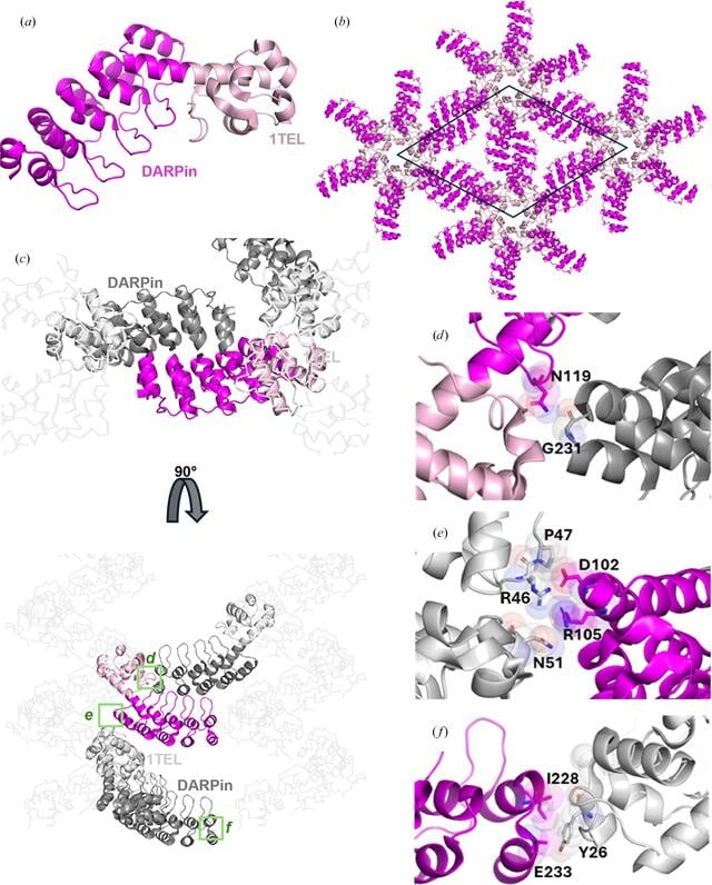 [Figure 4]