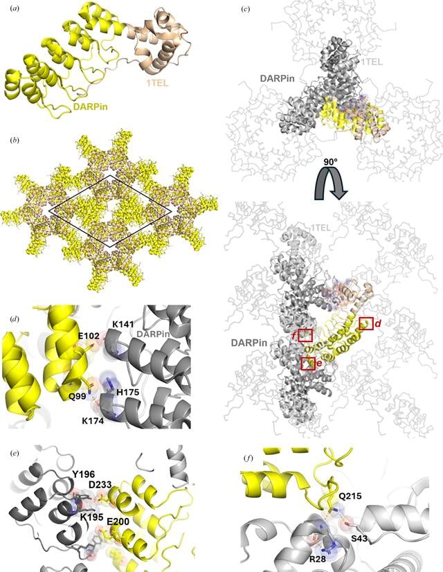 [Figure 5]
