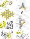 [Figure 5]
