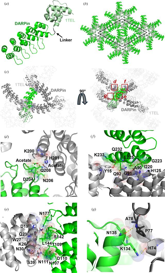 [Figure 6]