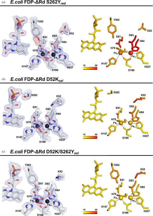 [Figure 3]