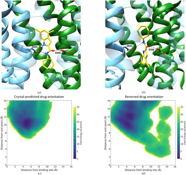 [Figure 10]