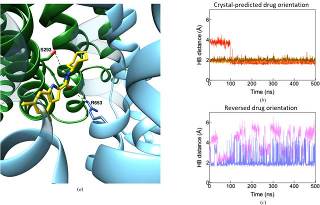 [Figure 11]