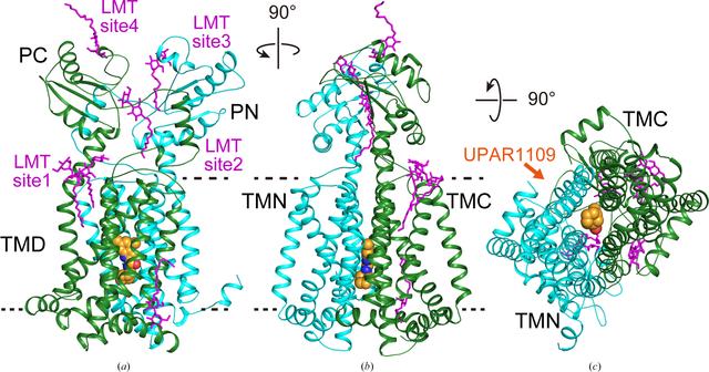 [Figure 3]