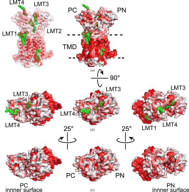 [Figure 6]