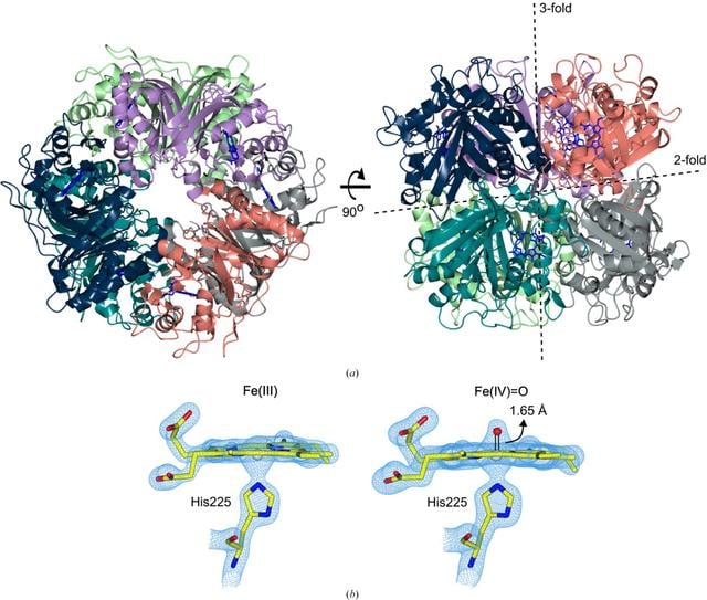[Figure 1]
