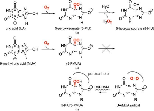 [Figure 1]