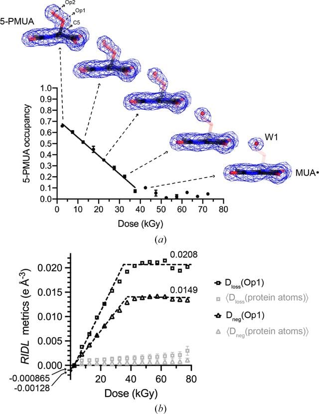 [Figure 5]