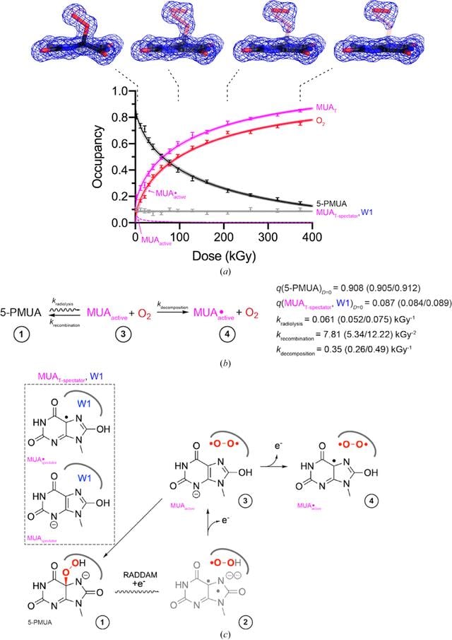 [Figure 6]