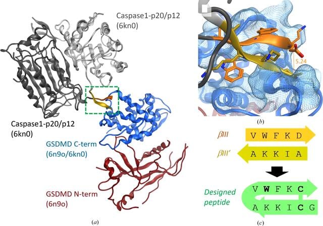 [Figure 1]