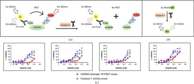 [Figure 2]