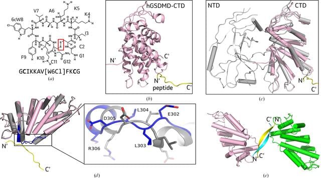 [Figure 3]