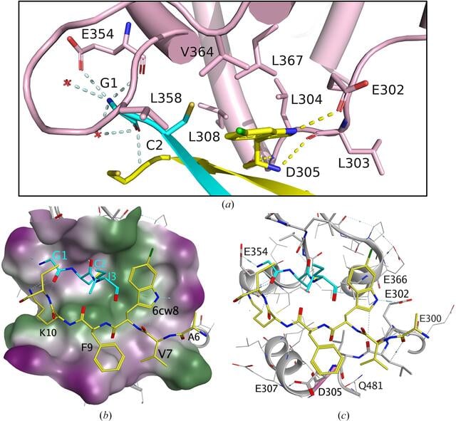[Figure 4]