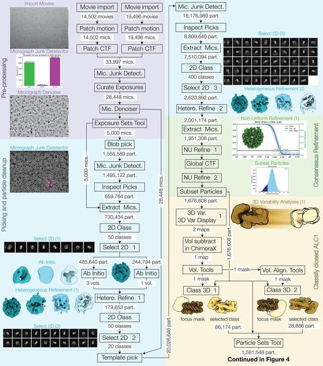[Figure 3]
