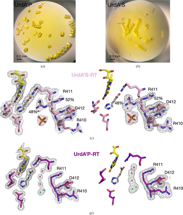 [Figure 3]