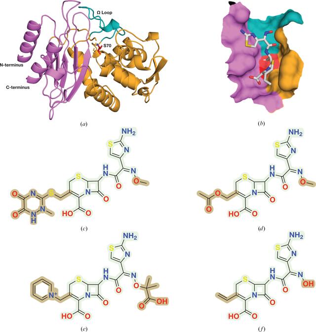[Figure 1]