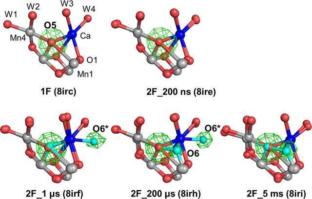 [Figure 5]