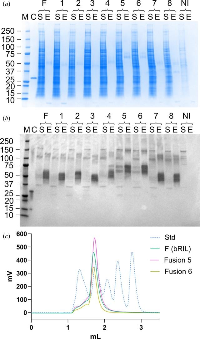 [Figure 1]