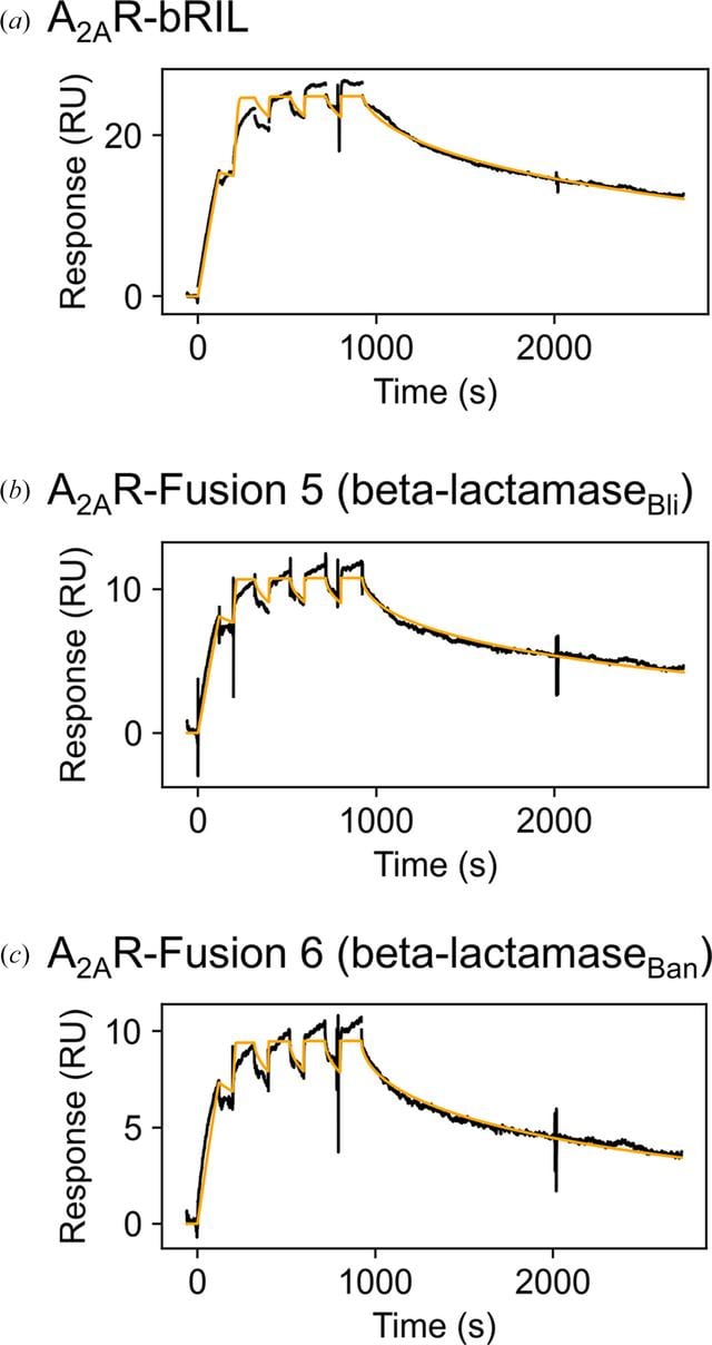 [Figure 2]