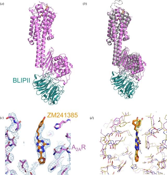 [Figure 3]