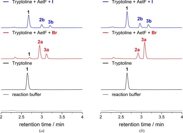 [Figure 1]