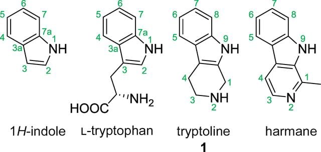[Figure 2]