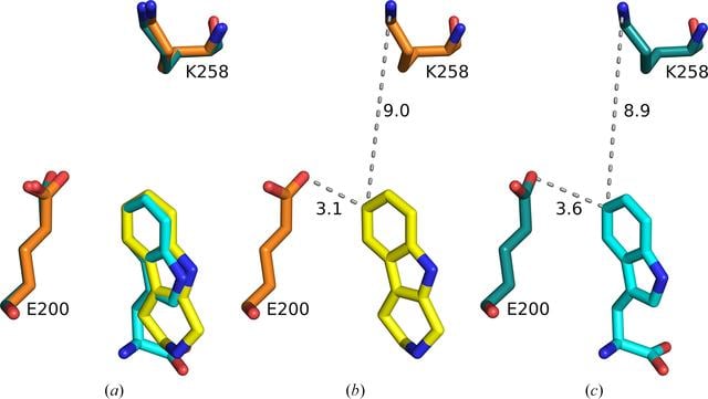 [Figure 4]