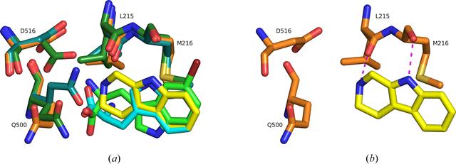 [Figure 5]