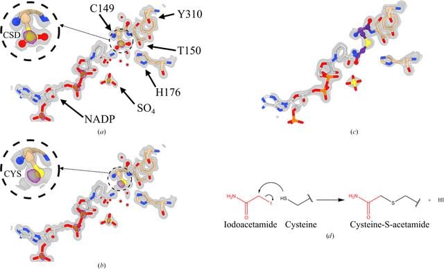 [Figure 1]