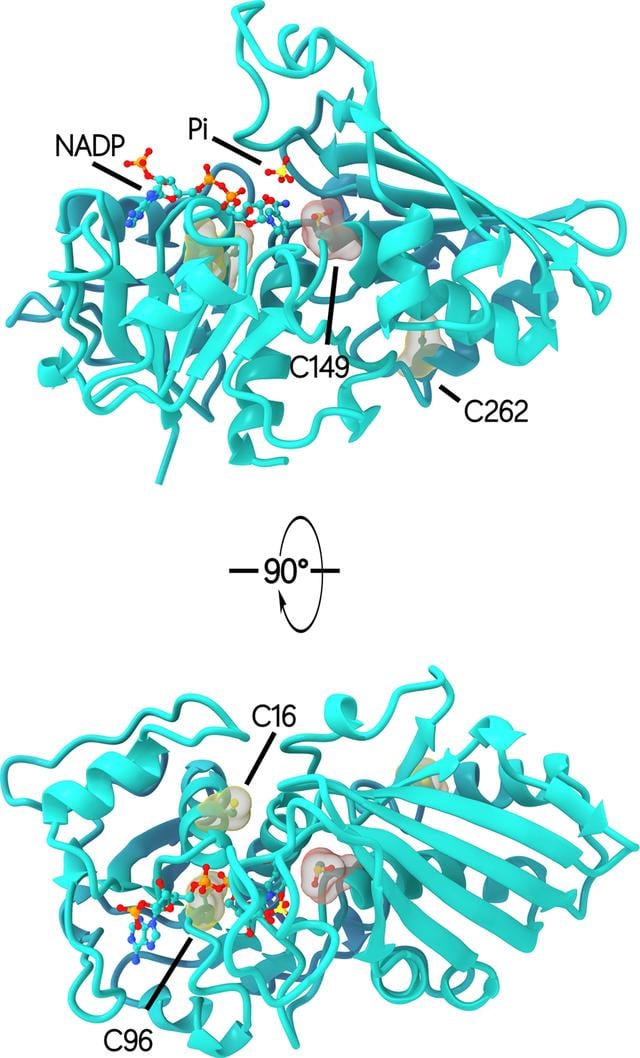 [Figure 9]