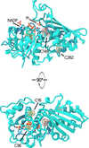 [Figure 9]