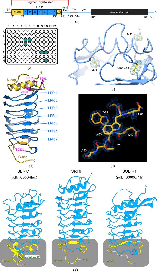[Figure 2]