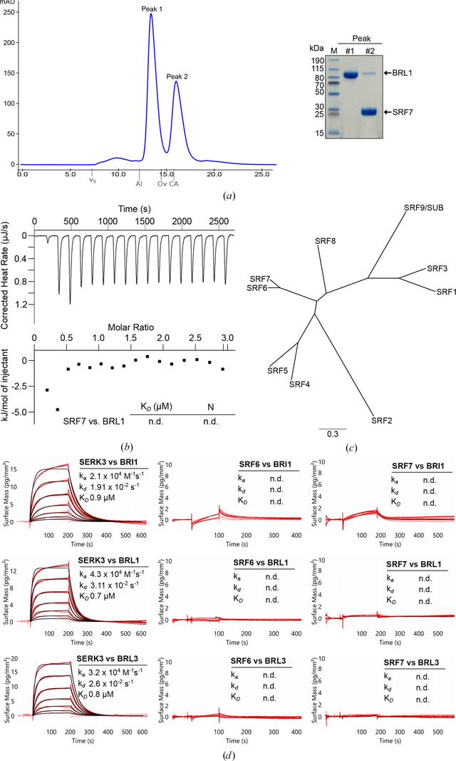 [Figure 3]