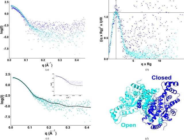 [Figure 1]