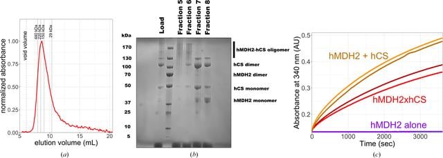 [Figure 2]