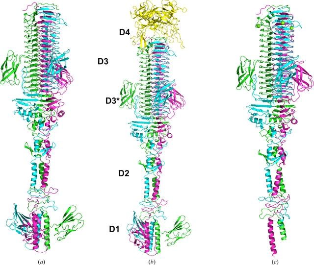 [Figure 1]