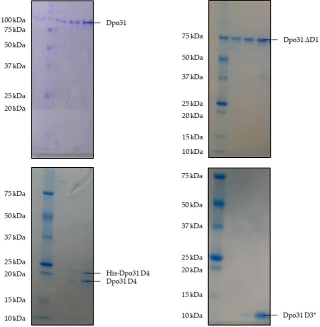 [Figure 4]