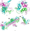 [Figure 5]