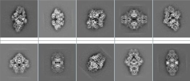 [Figure 2]