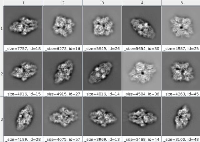 [Figure 3]