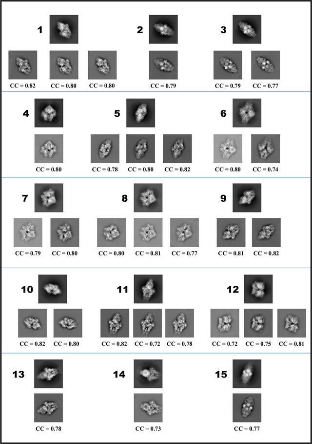 [Figure 4]