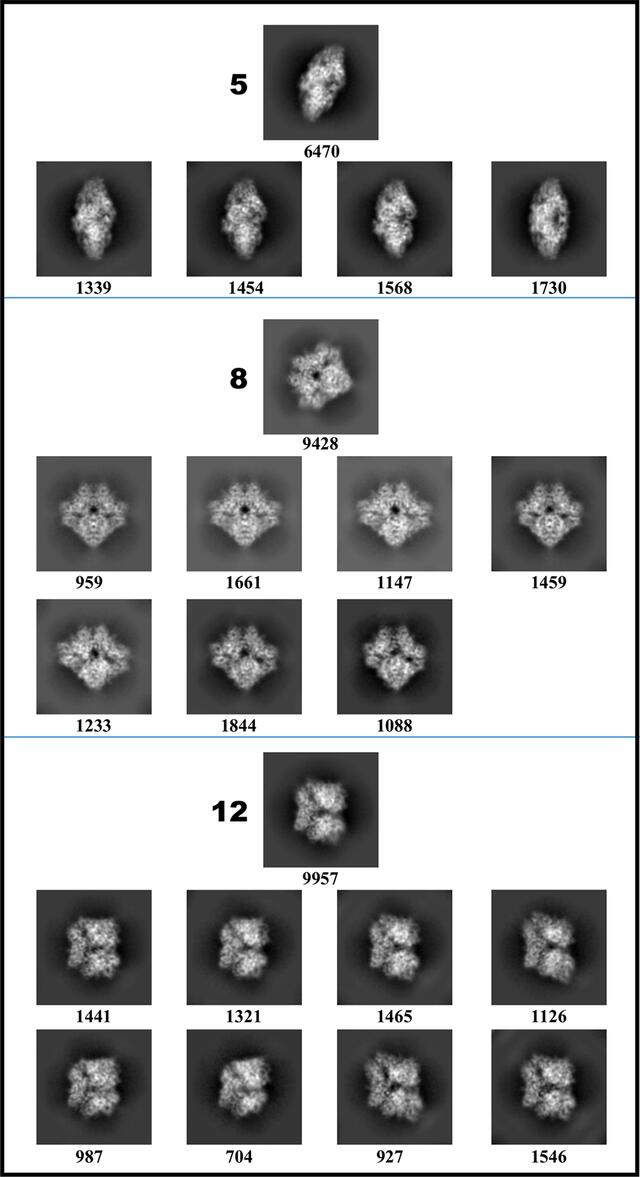 [Figure 5]