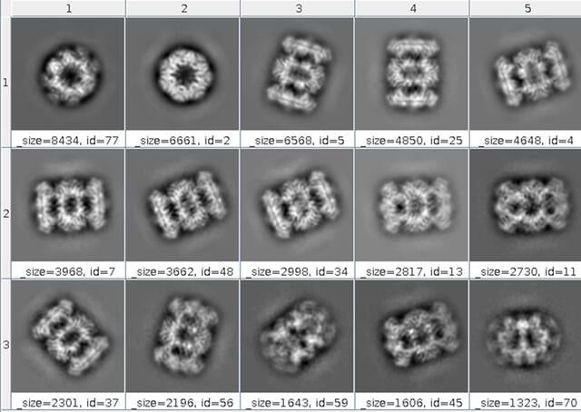 [Figure 6]