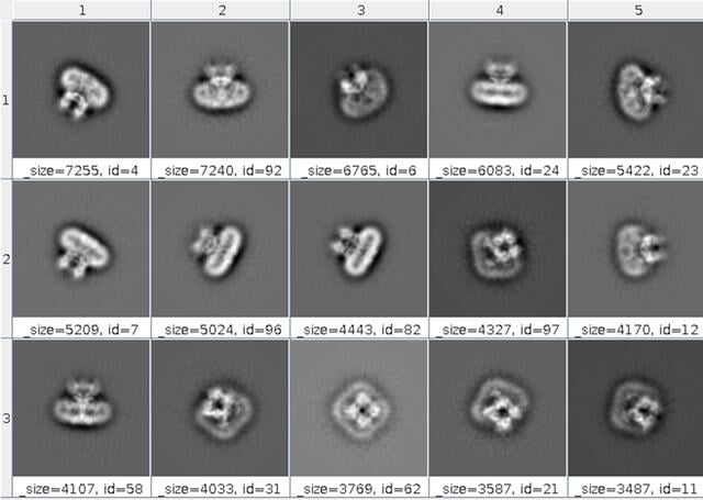 [Figure 7]